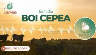Teste de postagem