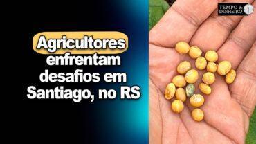 Agricultores enfrentam desafios em Santiago, no RS, informa Alexandre Gazolla