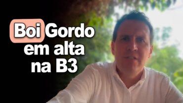 Boi gordo abre semana com pressão no mercado físico e alta na B3. T. Bernardino, do CEPEA, comenta