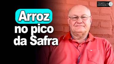 Arroz no pico da Safra, afirma Brandalizze