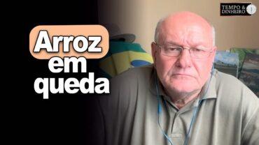 Arroz em queda, alerta Brandalizze