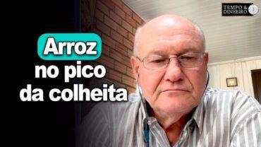 Arroz no pico da colheita, explica Vlamir Brandalizze