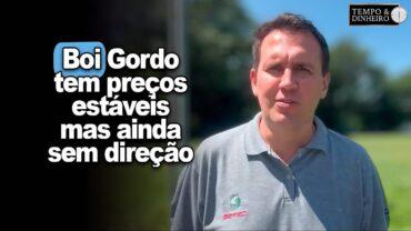Boi gordo tem preços estáveis mas ainda com direção incerta, informa Thiago Bernardino, do CEPEA