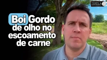 Boi gordo segue com mercado firme mas de olho no escoamento de carne, informa T. Bernardino do CEPEA