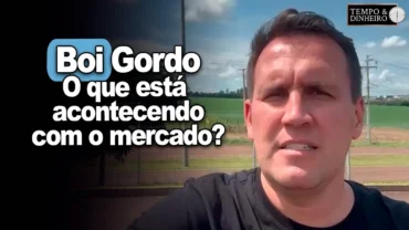 Boi gordo tem oferta baixa e mercado cauteloso. O que está acontecendo? Thiago Bernardino analisa