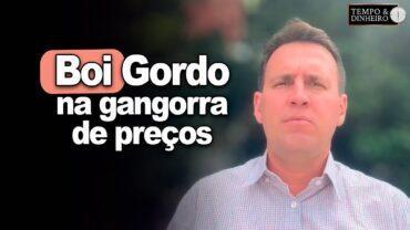 Boi gordo começa segunda quinzena com cautela e gangorra de preços, informa Thiago Bernardino