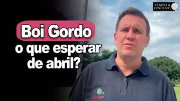 Boi gordo encerra março com preços firmes. E o que esperar de abril? Thiago Bernardino comenta