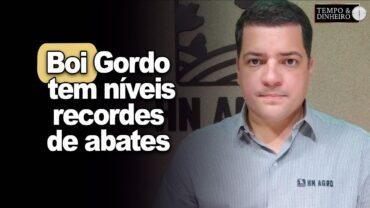 Boi gordo tem níveis recordes de abates em 2024, informa Hyberville Neto