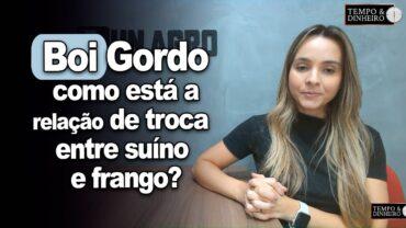 Boi gordo: como está a relação de troca entre suíno e frango? Isabella Camargo comenta.