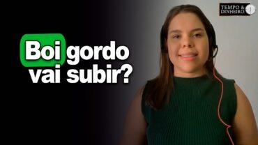 Boi gordo vai subir? Restrição de oferta no mercado? Isabela Zavatti, do CEPEA, comenta