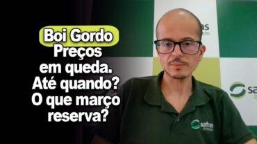 EXCLUSIVO: Boi gordo no pós carnaval com China e preços em queda. Até quando? O que março reserva?