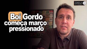 Boi começa março pressionado de olho no consumo interno e China, informa T. Bernardino do CEPEA