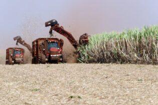Case IH anuncia testes em safra completa da 1ª colhedora de cana movida a etanol