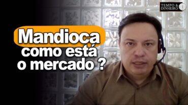 Mandioca: saiba como está o mercado com Fábio Isaías Felipe do CEPEA