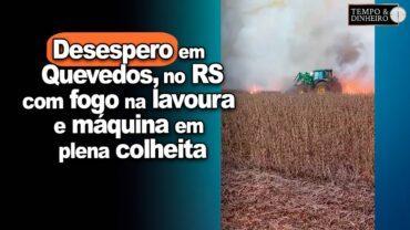 Desespero em Quevedos – RS, com fogo na lavoura e máquina em plena colheita. Imagens impressionantes