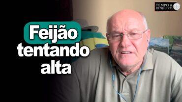 Feijão tentando alta, informa Vlamir Brandalizze