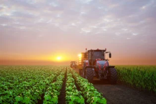 Dólar segura a Soja no Brasil