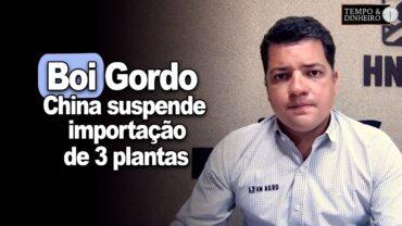 Boi gordo: China suspende importação de 3 plantas frigoríficas. Quais impactos para o mercado?