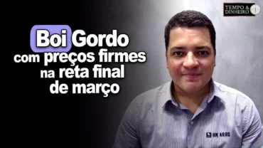 Boi gordo segue com preços firmes na reta final de março, informa Hyberville Neto