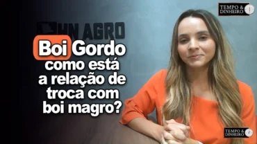 Boi gordo tem mercado mais firme. E a relação de troca com boi magro? Isabella Camargo comenta