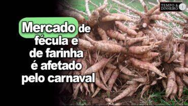 Mandioca: com baixa movimentação mercado de fécula e de farinha é afetado pelo carnaval