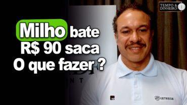 Milho bate R$ 90 saca em Campinas? O que fazer? Robson Polotto, da Getreide, orienta