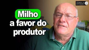 Milho a favor do produtor, comenta Vlamir Brandalizze