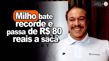 Milho bate recorde e passa de R$ 80 a saca no MT, acima de SP, informa Robson Polotto da Getreide