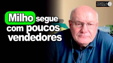 Milho segue com poucos vendedores