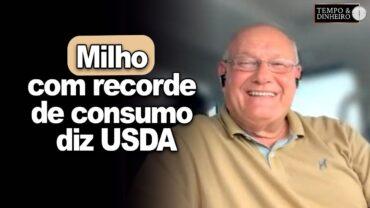 Milho com recorde de consumo diz USDA, analisa Brandalizze