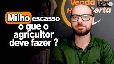 Milho escasso: o que o agricultor deve fazer? Victor Cazzo, do Venda na Hora Certa, comenta o mercado