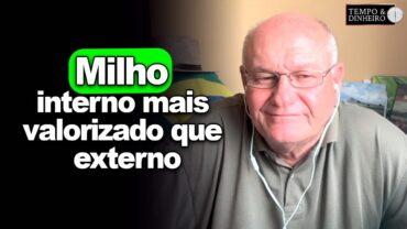 Milho interno mais valorizado que externo, Brandalizze explica