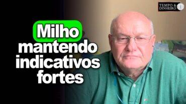 Milho mantendo indicativos fortes, Vlamir Brandalizze explica