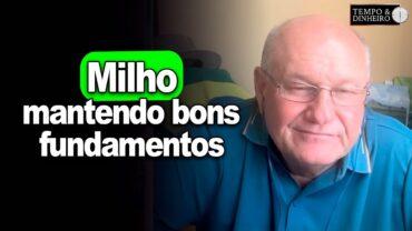 Milho mantendo bons fundamentos, analisa Brandalizze