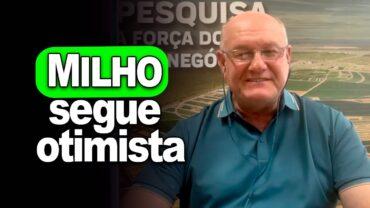 Milho segue otimista, afirma Brandalizze