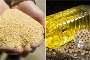 Óleo entre altos e baixos, fecha positivo; Farelo tem queda