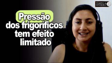 Boi gordo: pressão dos frigoríficos tem efeito limitado, informa Shirley Menezes, do CEPEA