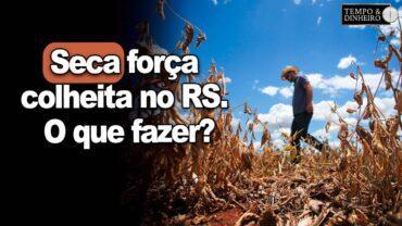 Seca força colheita no RS. O que fazer? E as culturas de inverno? Dr Alexandre Gazolla comenta
