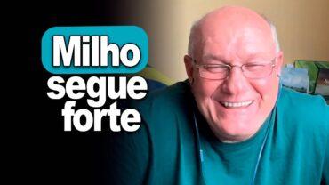 Milho segue forte, afirma Brandalizze