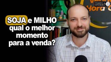 Soja e milho na comercialização: qual melhor momento para venda na hora certa? Victor Cazzo explica