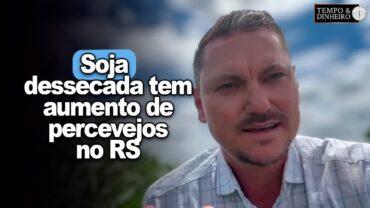 Soja dessecada em Palmeira das Missões, tem aumento da população de percevejos, alerta A. Gazolla