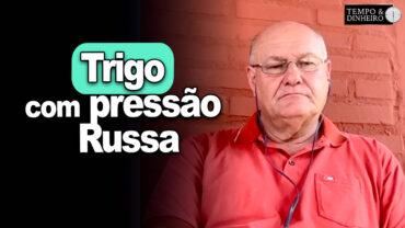 Trigo com pressão Russa, explica Brandalizze