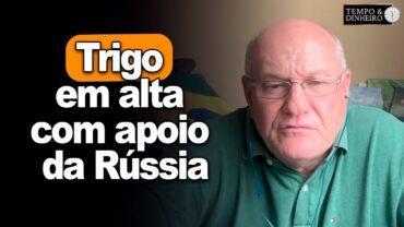 Trigo em alta com apoio da Rússia, avalia Vlamir Brandalizze