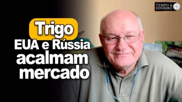 Trigo com área maior nos EUA e Rússia acalmam mercado, Brandalizze analisa