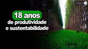 ILPF-Integração Lavoura Pecuária Floresta é o tema da reportagem de Fred Olivi em Ipameri-Goiás