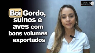 Boi gordo, suínos e aves com bons volumes exportados. Quais os resultados? Isabella Camargo comenta