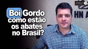 Boi gordo: como estão os abates no Brasil e mundo afora? Hyberville Neto comenta