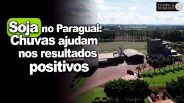Soja no Paraguai: Chuvas ajudam nos resultados positivos, informa Romualdo Zocche, Cooperativa Pindó