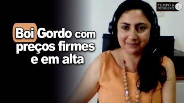 Boi gordo com preços firmes e em alta. Shirley Menezes, do CEPEA, tem as informações
