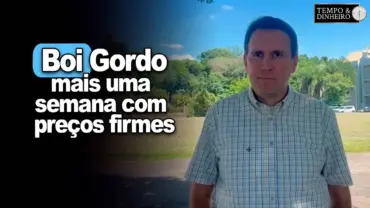 Boi gordo tem mais uma semana com preços firmes, informa Thiago Bernardino, do CEPEA